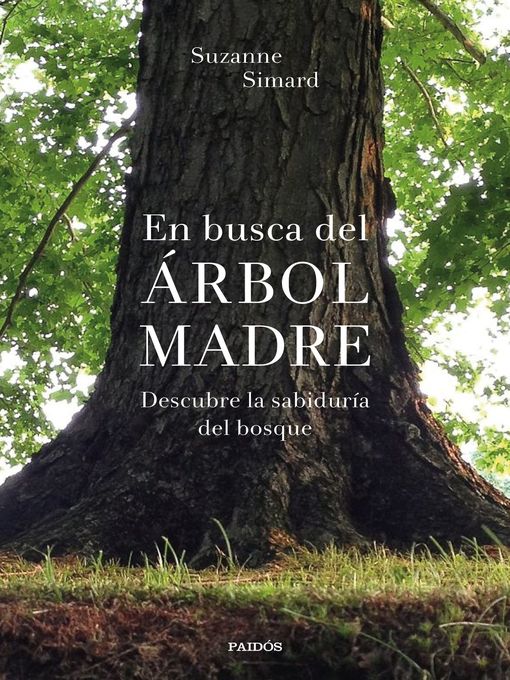 Title details for En busca del Árbol Madre by Suzanne Simard - Available